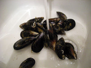 DSCN8128
