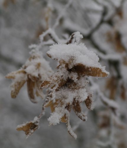 62072043_m.jpeg