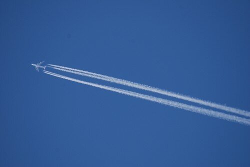 21933862_m.jpg