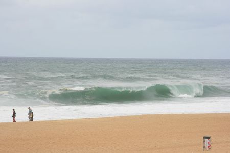 IMG_6430