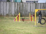 ULYSSE en Agility 70756500_p