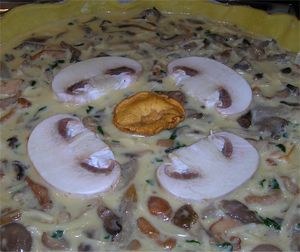 Tarte_aux_Champignons_crue
