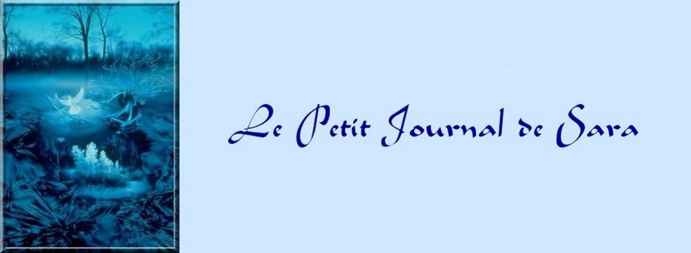 Le Petit Journal de Sara