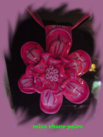 fleur_mauve_et_rose