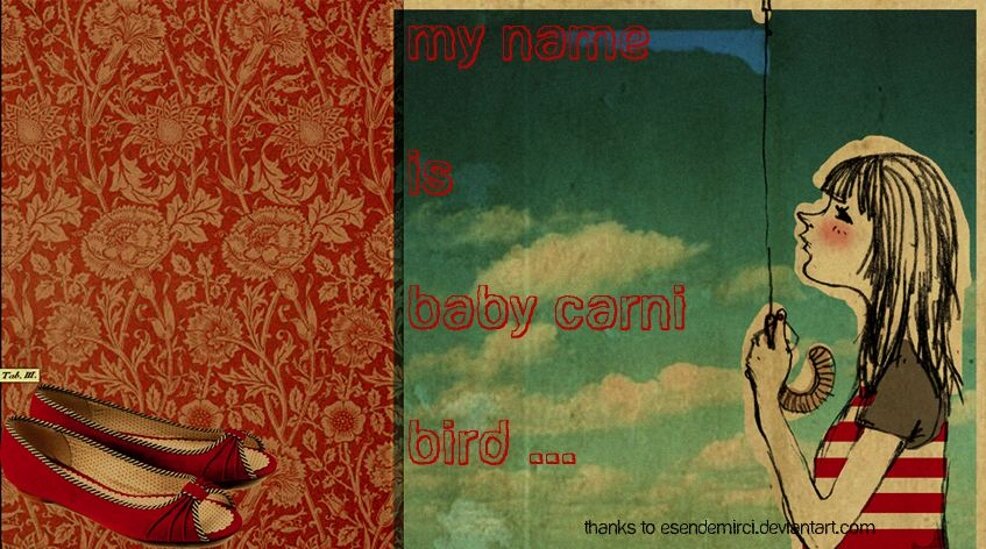 My Name Is Baby Carni Bird