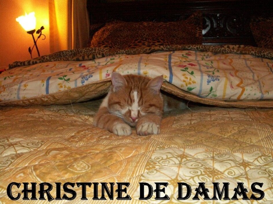 Christine de Damas