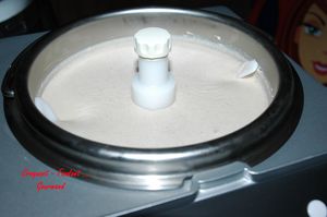 Sorbet_coco___DSC_5325_2862