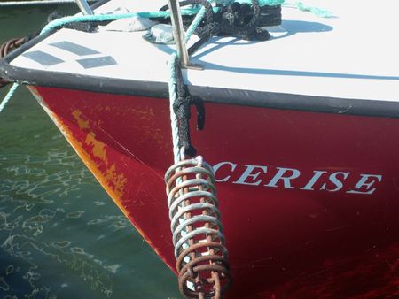 Cerise boat