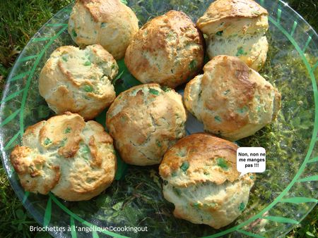 Briochettes___l_ang_lique_groupe