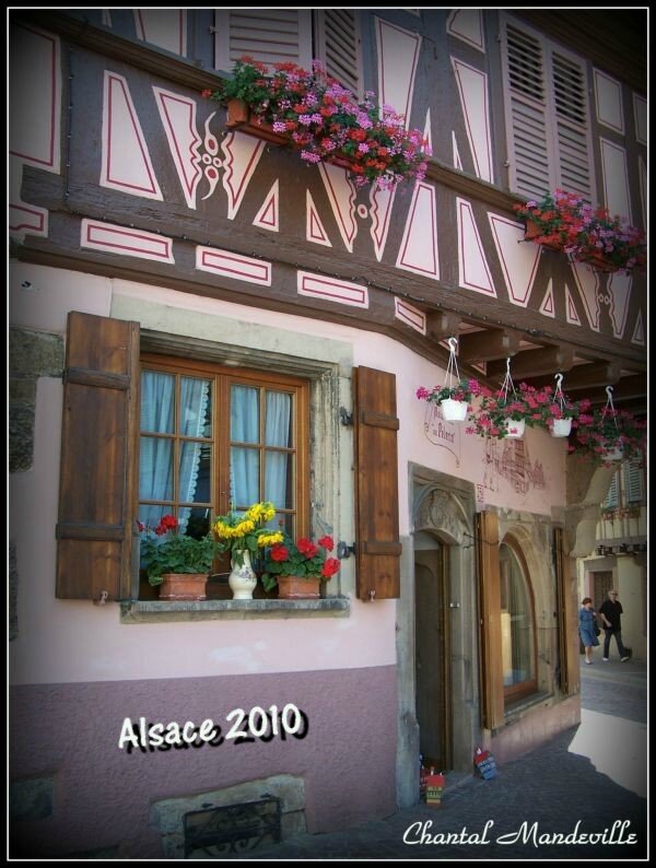 Alsace- (15)
