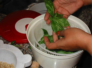 pesto_2053