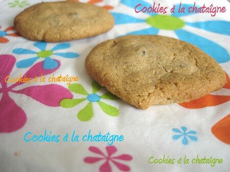 Cookies___la_farine_de_Ch_taigne1