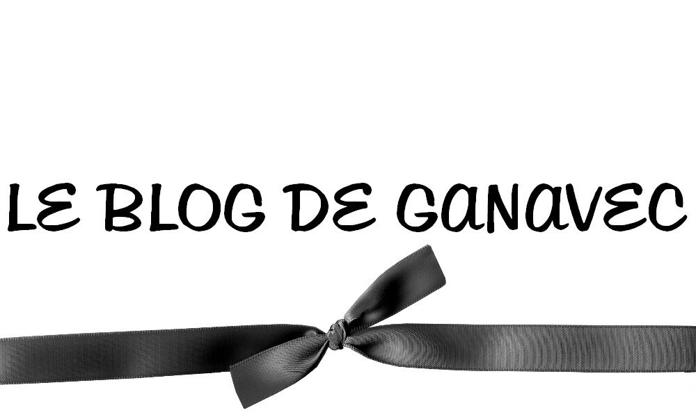 LE BLOG DE GANAVEC