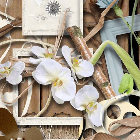 collab_natural_detail3