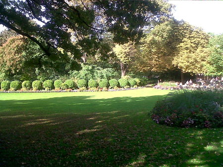 IMG00839_20101009_1533