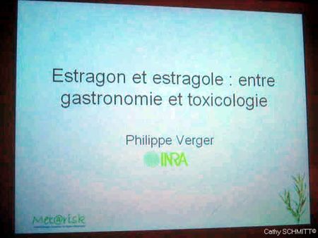 Estragontoxicologieestragole