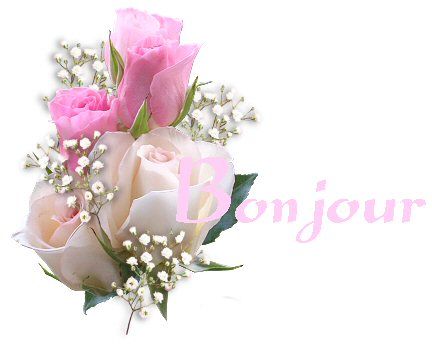bonjour84