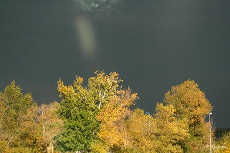 IMG_6454_44_1