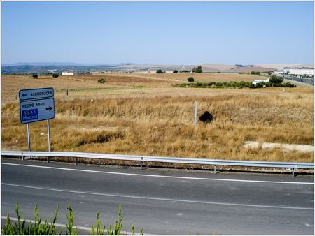 DSC01863