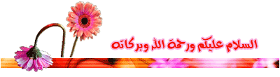 2503382701_49