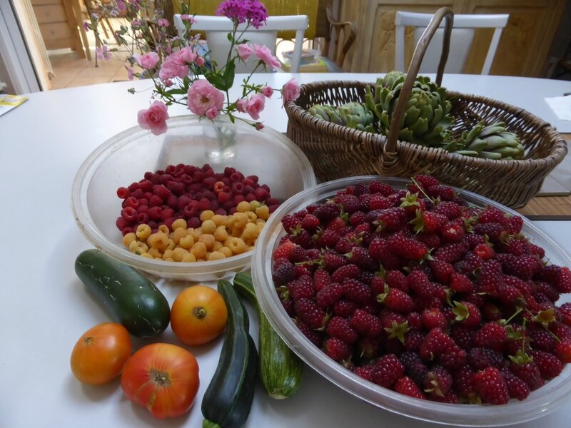 15-mûroises, framboises, petits pois, courgettes, tomates- (1)