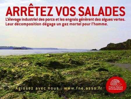 Pub_France_nature_environnement_2_alguesVertes_2011
