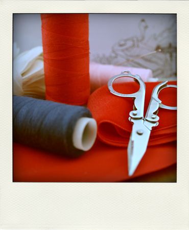 IMG_2350_pola