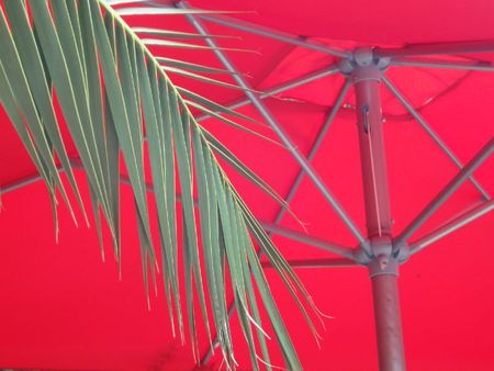 Parasol