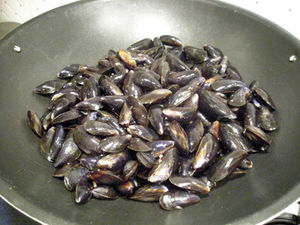 DSCN9103