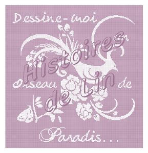 Dessine_moi_un_oiseau_de_PAradis__couleur__page_001