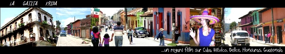 un regard félin sur Cuba, México...