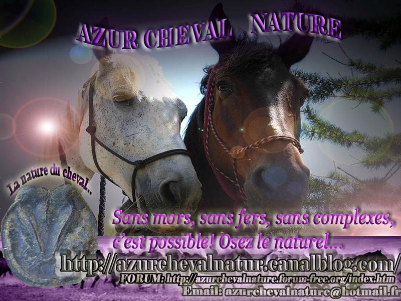 Azur Cheval Nature