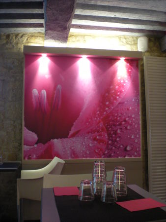 DSCN1354