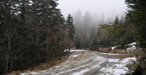 48071589_m.jpg