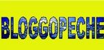 Banniere_bloggopeche_