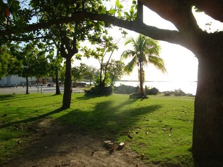 DSC07990