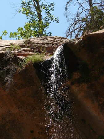 P1000554