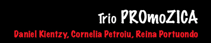 Trio PROmoZICA