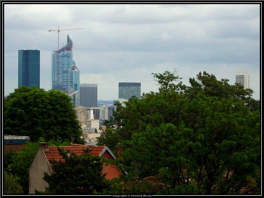 IMGP0913