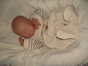 jimmy_b_b__reborn