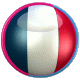 gif_rugby_coupe_monde_logo_france