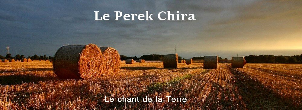 Le Perek Chira