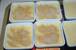 Cr_mes_brul_es_foie_gras___DSC_4464_2029