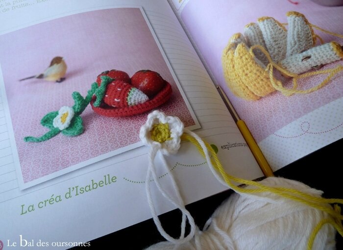 117 Blog Crochet Fleur Fraise Serial Crocheteuses