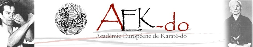 academie europeenne de karate do