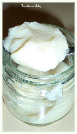 flans___la_verveine_citronnelle3