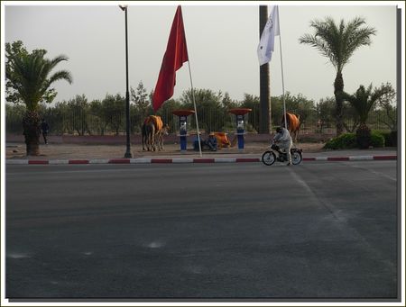 marrakech__443_