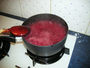 DSCN4583