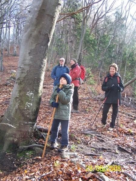 Photo medecin chef rouanet