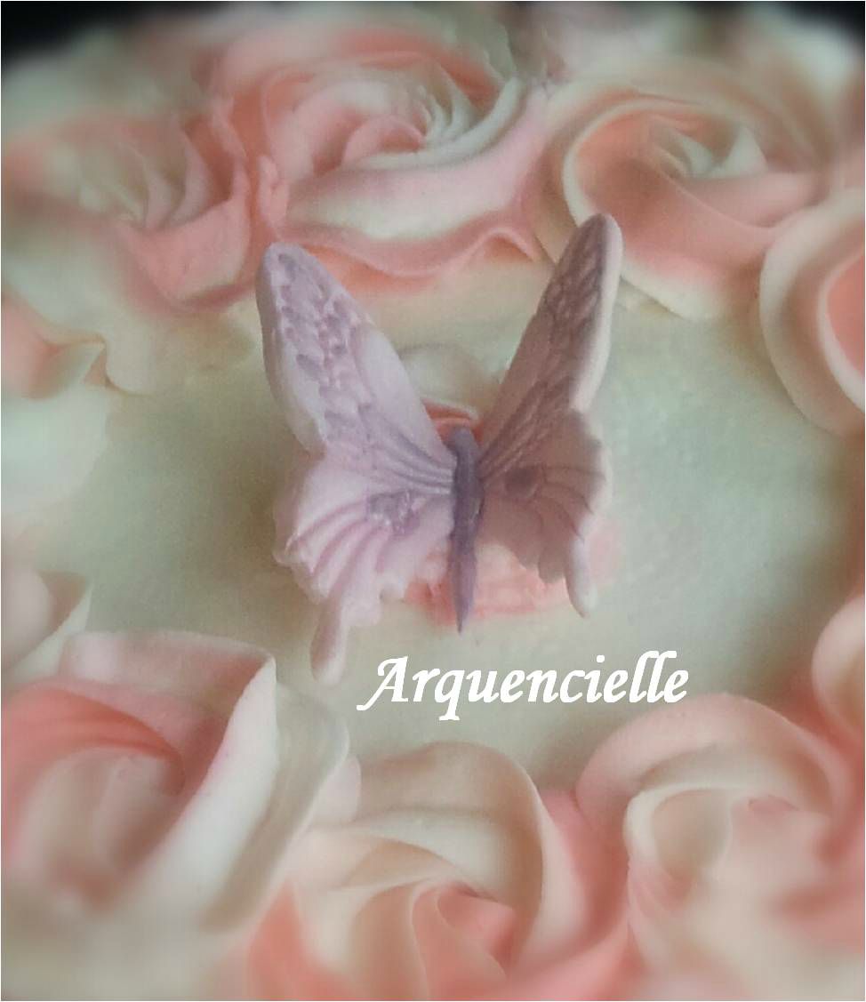 papillon - Page 12 77661969_o